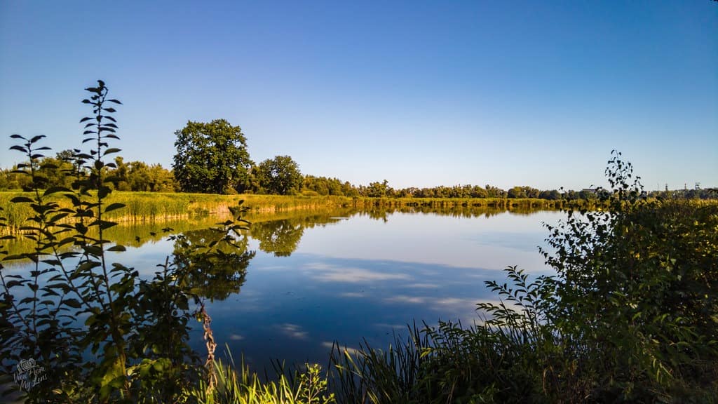 vfml 210925p2 8 54803324512 l