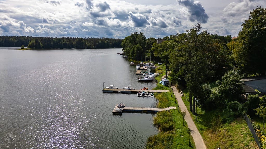 vfml 260825d 8 54777391577 l