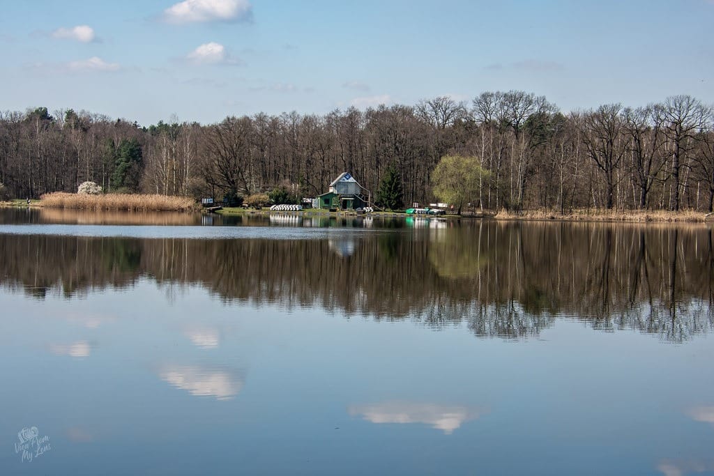 vfml 040425n 6 54429458132 l