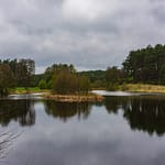 VFML 190425N 2 scaled