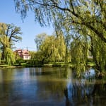 VFML 250425N 23 scaled