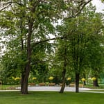 VFML 030525N 38 scaled