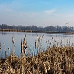 MPS N200324 3 scaled