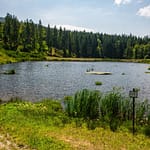 VFML 100825N 39 1 scaled