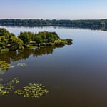 VFML 140825D 4 1 scaled