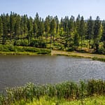 ganczorka summer reflections 32703554