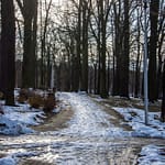 mps n111223 21 53390559141 l