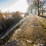 Serene Countryside Scenes of the Season’s First Frost