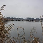 Golden reeds edging a tranquil, icy river with distant winter forest and low cloudy sky, Czechowice-Dziedzice.