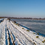 Stunning frozen tracks at Czechowice Ponds reveal winter's artistry—golden reeds, ice patterns, and snow-carved pathways in Southern Poland's January light.