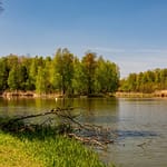 Sunday Morning Walk in Tychy