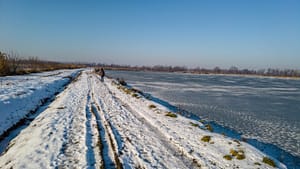 Stunning frozen tracks at Czechowice Ponds reveal winter's artistry—golden reeds, ice patterns, and snow-carved pathways in Southern Poland's January light.