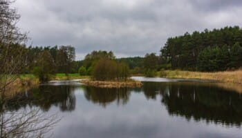 Peaceful pond scene in Poland with mirror-like water reflections and lush greenery Tranquil pond in Poland with forest reflections and cloudy sky