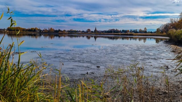 VFML 021125P 10 VFML 021125P 10