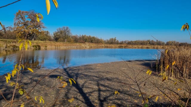 VFML 021125P 3 VFML 021125P 3