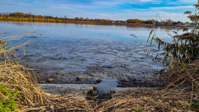 VFML 021125P 4 VFML 021125P 4