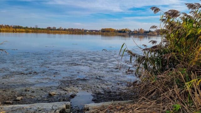 VFML 021125P 5 VFML 021125P 5