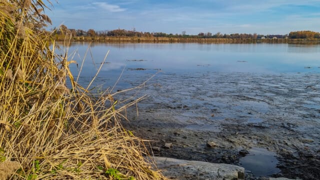 VFML 021125P 6 VFML 021125P 6