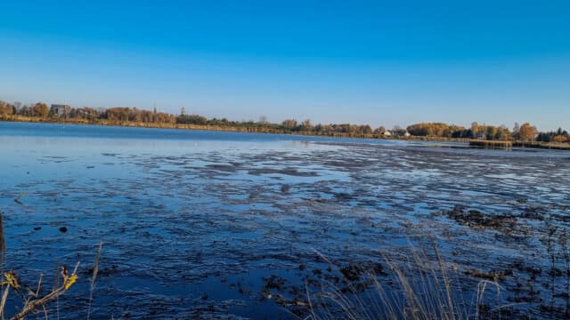 VFML 021125P VFML 021125P