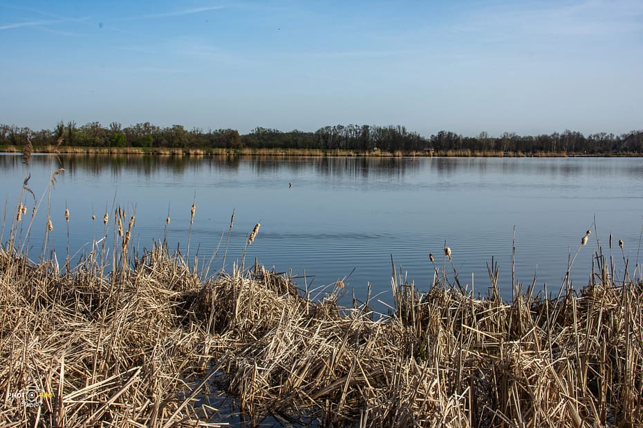 53614178737 96254567cc o scaled