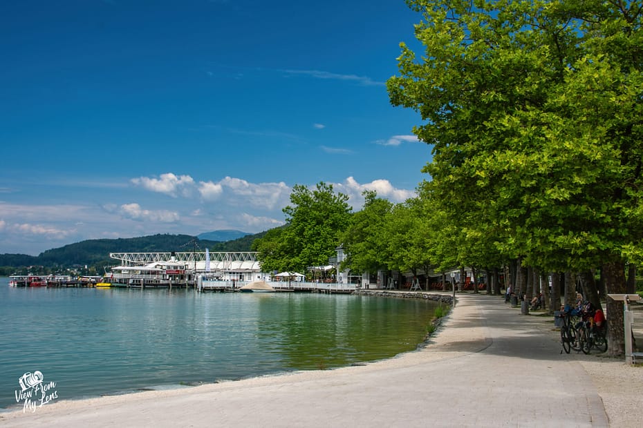 53832582124 7bc98e78ea o scaled