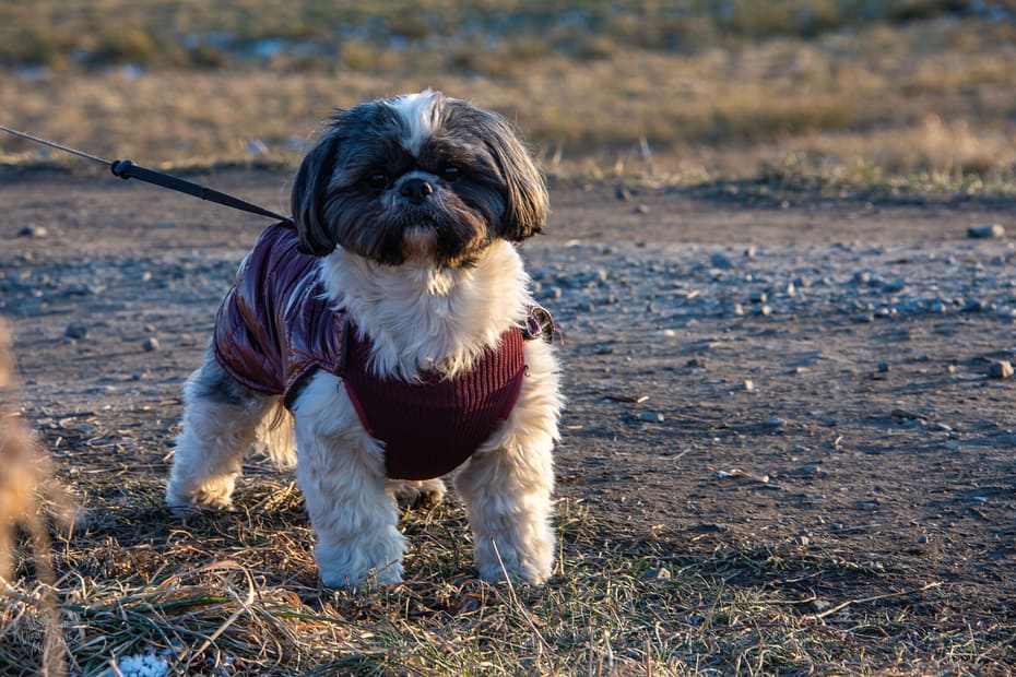 54340050112 1b711b2277 o scaled