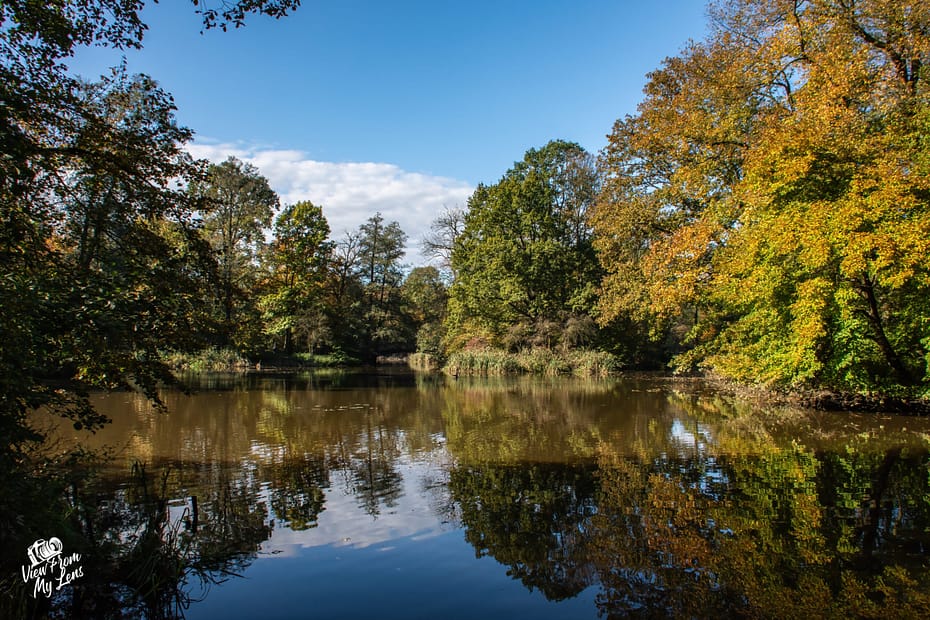 Autumn landscape with golden trees reflected in calm pond, Pszczyna Poland nature photography