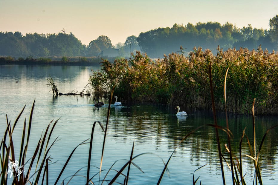 VFML 191024N 8 scaled