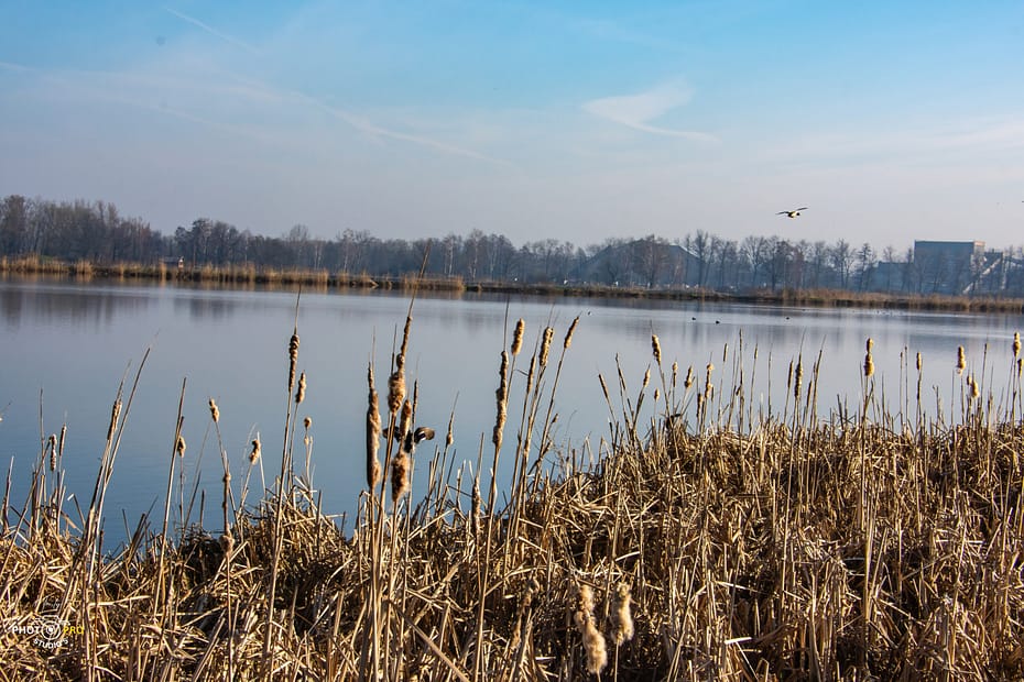 MPS N200324 3 scaled