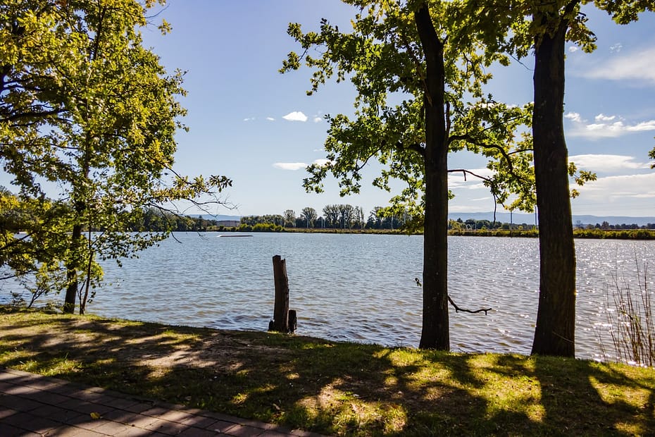 summer walks lakes paths on our doorstep 514452883