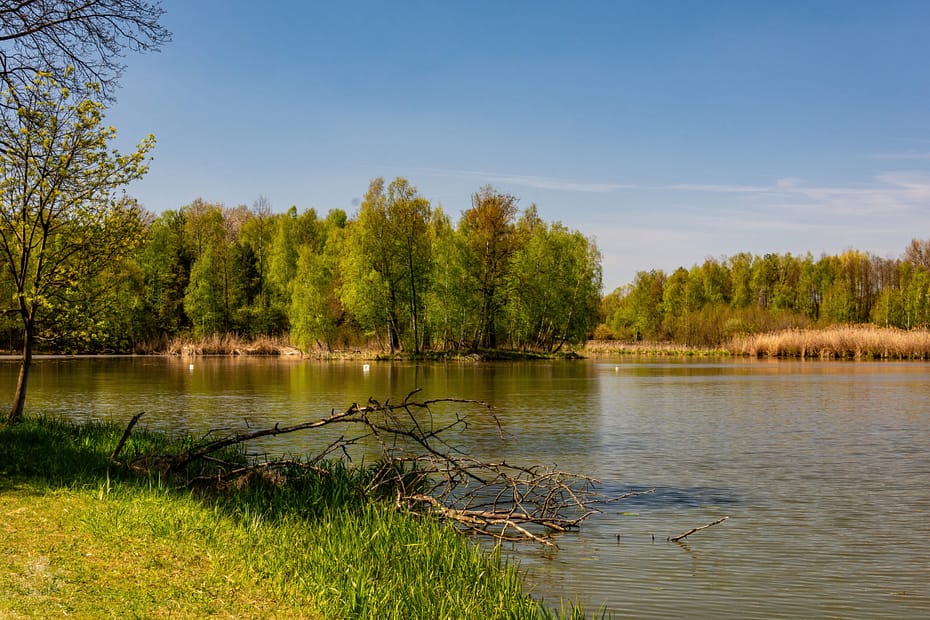 Sunday Morning Walk in Tychy